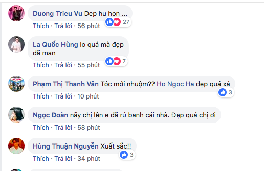 Hà Hồ, sao Việt